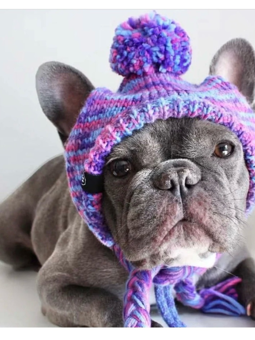 Knit Pom-Pom Dog Beanie Hat